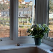 Bay-window close-up — hydrangea on the sill and a sunny view of cottages across the river