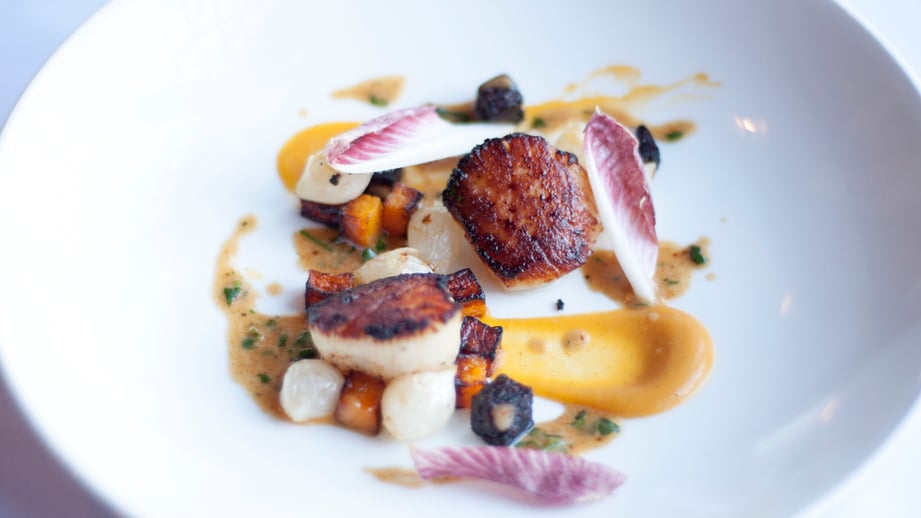 Two seared scallops on a white plate with butternut squash purée, roasted squash, black pudding, baby onions and red chicory leaves