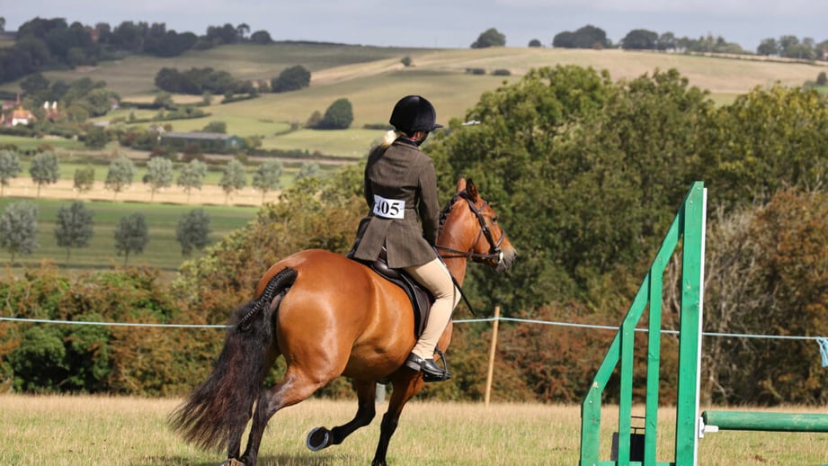 A rider and bay pony in the show-jumping ring at the Rye & District Country Show, with rolling farmland behind